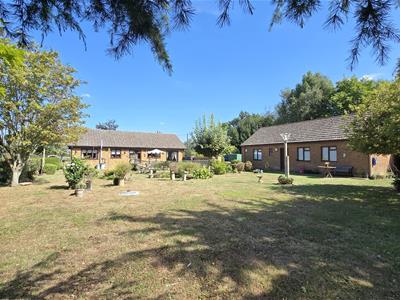 Picture 19